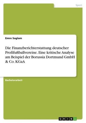 Die Finanzberichterstattung deutscher Profifußballvereine. Eine kritische Analys