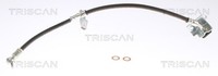 Triscan Bremsschlauch 8150 431018 FüR Hyundai Kona OS OSE OSI SUV Gdi 4WD