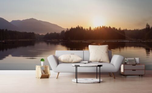 3D Forest River Tree Sunrise Self Adhesive Removable Wallpaper Mural1 1027