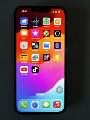 iPhone 13 pro with TikTok