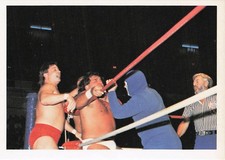 1988 Wonderama NWA #294 Gladiator #1