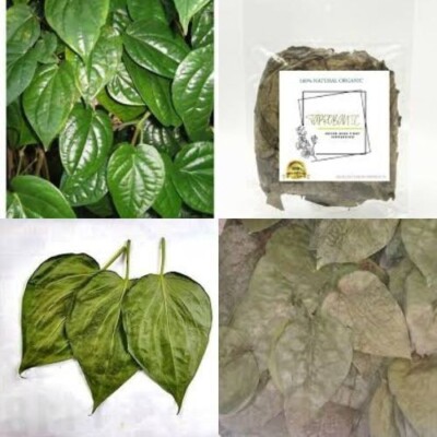 Dried Piper Betel Leaves Fresh Betel Paan, 100g ceylon Natural Sri Lanka