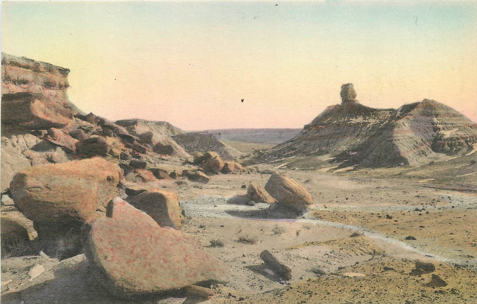 1940s Adamana Arizona Sphinx Petrified Forest HC Albertype Postcard 25-9642