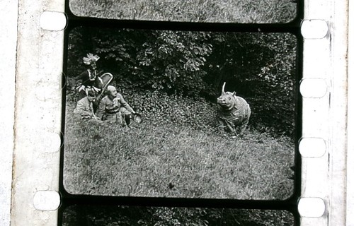 Vintage 1920s(?) 35mm comedy film Hunting in AFRICA - Picture 17 of 19