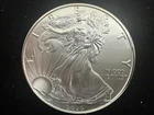 2020 American Silver Eagle Brilliant Uncirculated .999 Fine Silver Encapsulated