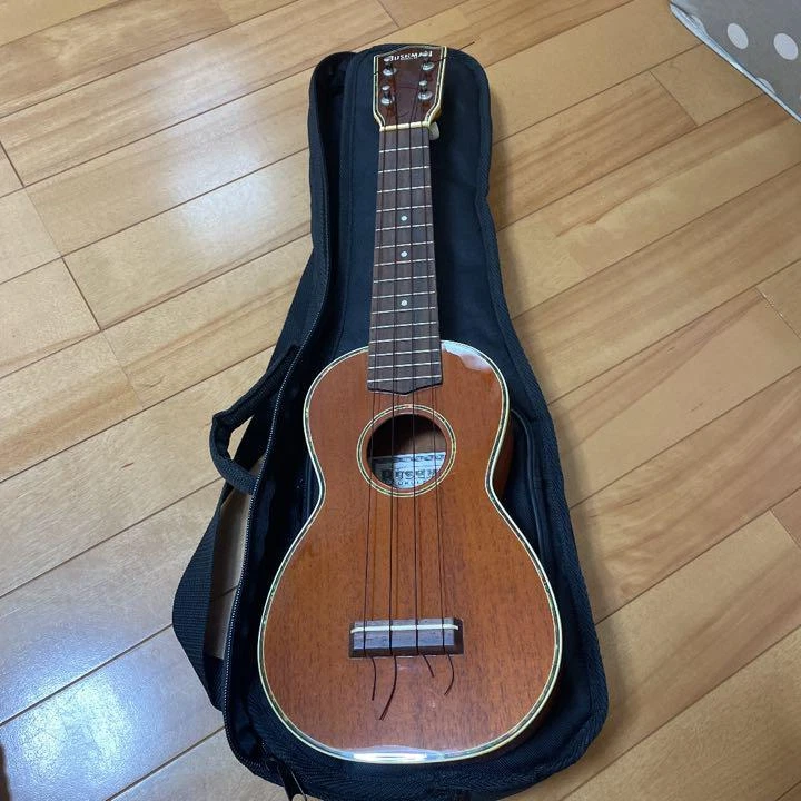 Bushman ukulele deals