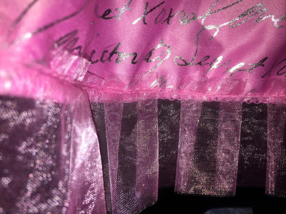 Sexy Sombrero Disney Victoria's Secret Pequeño Satinado Piel Tul Logo Navidad SlipDisney Nuevo con Etiquetas Foto 4 de 4