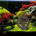 Bild 9 von 11