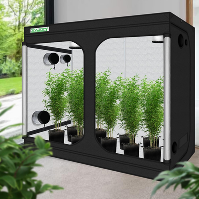 Zazzy Grow Tent, 96X48 X78 Plant Growing Tents 600D Mylar Hydroponic  Indoor Gro | eBay