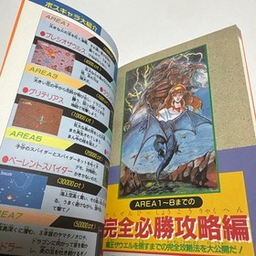 Dragon Spirit PC Engine 1989 Winning Strategy Guide Rare Vintage Game