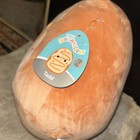 RARE Original Squishmallow Tadd Pumpkin Donut 11" BRAND NEW WITH TAG — photo 4