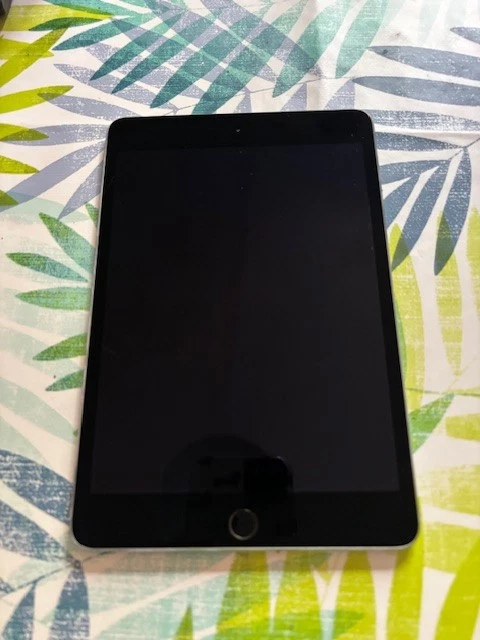 Apple iPad mini (4th generation) · 128GB · Cellular, foto 1 di 5