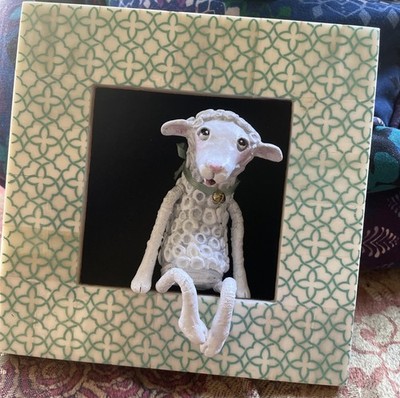 Lucia Fredericy Sheep Sitting in Picture Frame. 