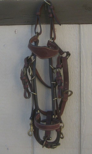 Leather Halter Bridle The  Australian Sock Saddle Co. Brass Hardware Full