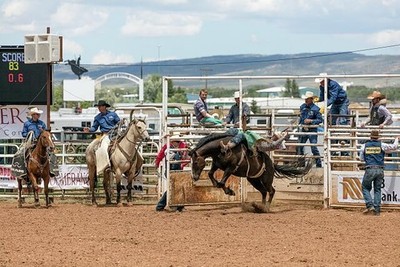 Laramie Wyoming 2015 Jubilee Days Rodeo Bucking Bronco Cowboy Saddle Bronc