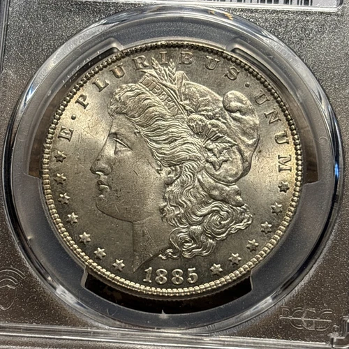 (1) Gorgeous Blast White Antique 1885-P Morgan Silver Dollar PCGS MS65