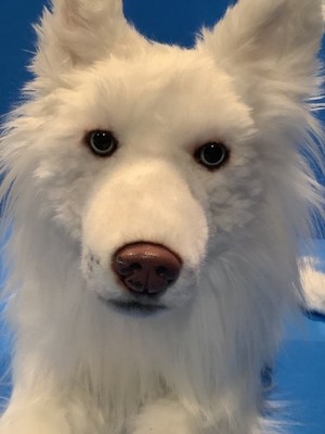 Cuddle Clones brand plush Husky/Samoyed mix | eBay