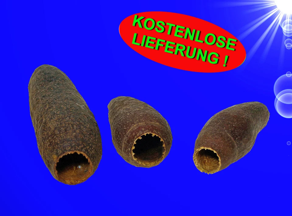 MARKENLOS Aquarium Deko 🐟🦐 3 STÜCK JECETIBA KAPSEL HÖHLE 🐟🦐 Garnelen Terrarium Zubehör