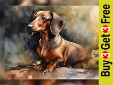 Adorable Dachshund Watercolor Art Print - Home Decor  5 "x 7"