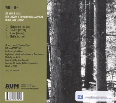 JOE MORRIS (GUITAR) - WILDLIFE [DIGIPAK] NEW CD