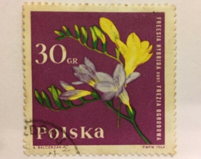 Polska Freesia Hybrida 30gr Stamp Franked