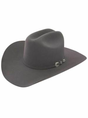 Stetson® 6X Skyline Granite Felt Hat With Free Hat Brush | eBay