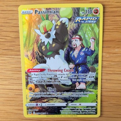 PASSIMIAN TG08/TG30 POKEMON KARTE (SILVER TEMPEST TRAINER GALLERY SET) FULL ART