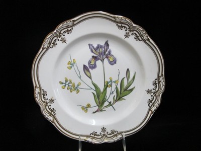 SPODE Stafford Flowers IRIS & SPHAEROLOBIUM Gilt Bone China DINNER