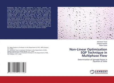 Non-Linear Optimization SQP Technique in Multiphase Flow Ashutosh Tiwari (u. a.)