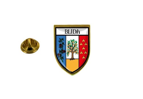 pins pin badge pin's souvenir ville drapeau pays blason algerie algerien