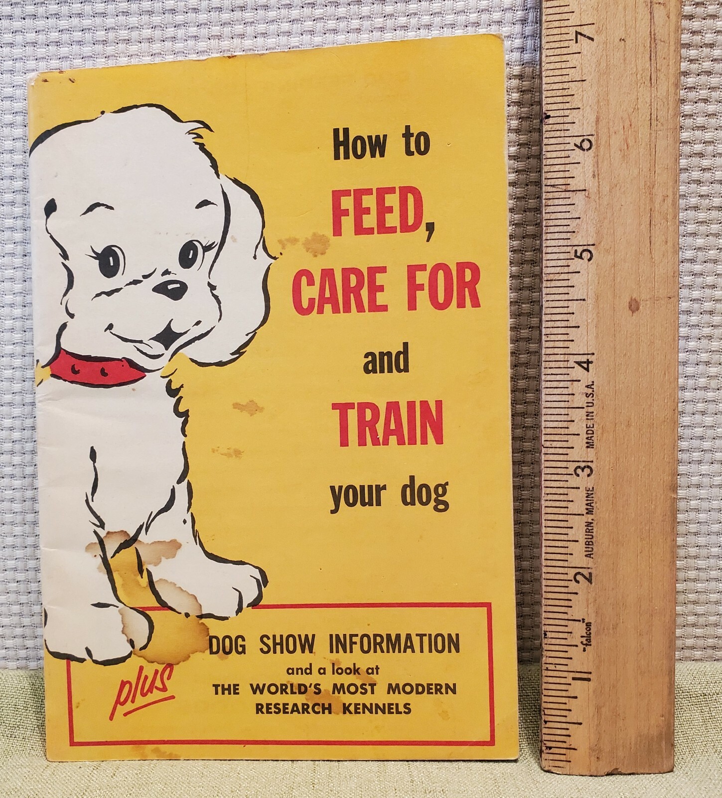 Can I Feed My Dog Quaker Oats