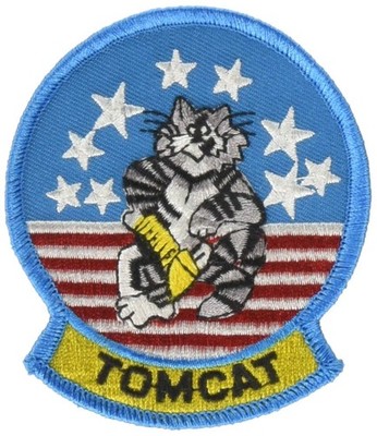 EagleEmblems PM0026 Patch-USN,Tomcat (3-3/8'')