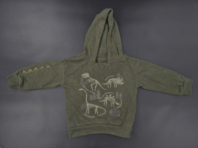 Primark - Pullover Kapuze Hoodie Gr. 86 (12-18 M) DINO Jungen