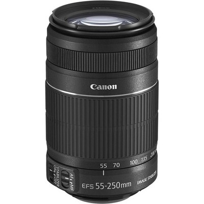 Canon EF-S 55-250mm f/4-5.6 IS STM Zoom Lens