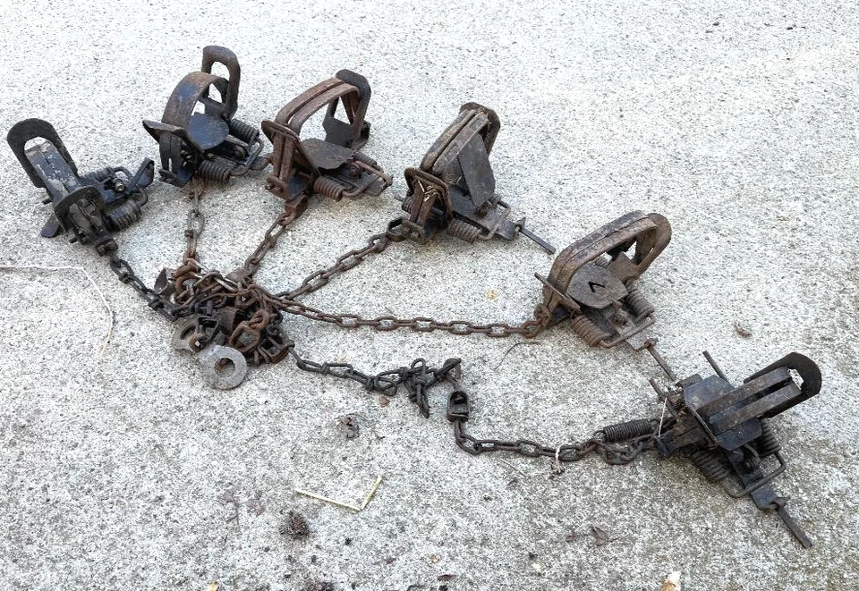 6, Bridger, Northwoods, Victor, Sleepy Creek, coyote, fox, bobcat, otter, 6asso - Image 3 of 3