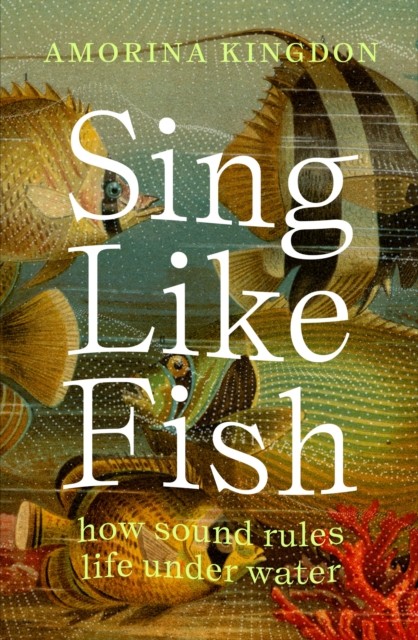 Sing Like Fish by Amorina Kingdon (Paperback Book)