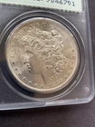 1885 S Morgan Dollar PCGS MS62 Rattler Holder