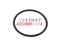 Fast Dichtung AnsaugkrüMmergehäUse FT49460 FüR Renault ScÉNic 1 JA0 Laguna 2 BG0
