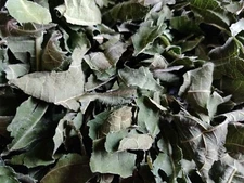2 OZ HOJAS DE HIGO ORGANICAS SECAS/ DRY ORGANIC FIG LEAVES/ORGANIC FIG LEAVES