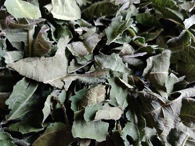 3 OZ HOJAS DE HIGO ORGANICAS SECAS/ DRY ORGANIC FIG LEAVES/ORGANIC FIG LEAVES