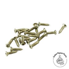 Pickguard Screws for Fender 4 x 1/2  Phillips Oval Head 20 pcs - Nickel