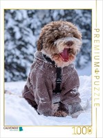 Calvendo Puzzle Lagotto Snow Alert | 1000 Pieces, Finished Size 25.2 × 18.9 In (