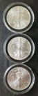 Lot of Three 2013 $1 American Silver Eagle Dollars in Capsules