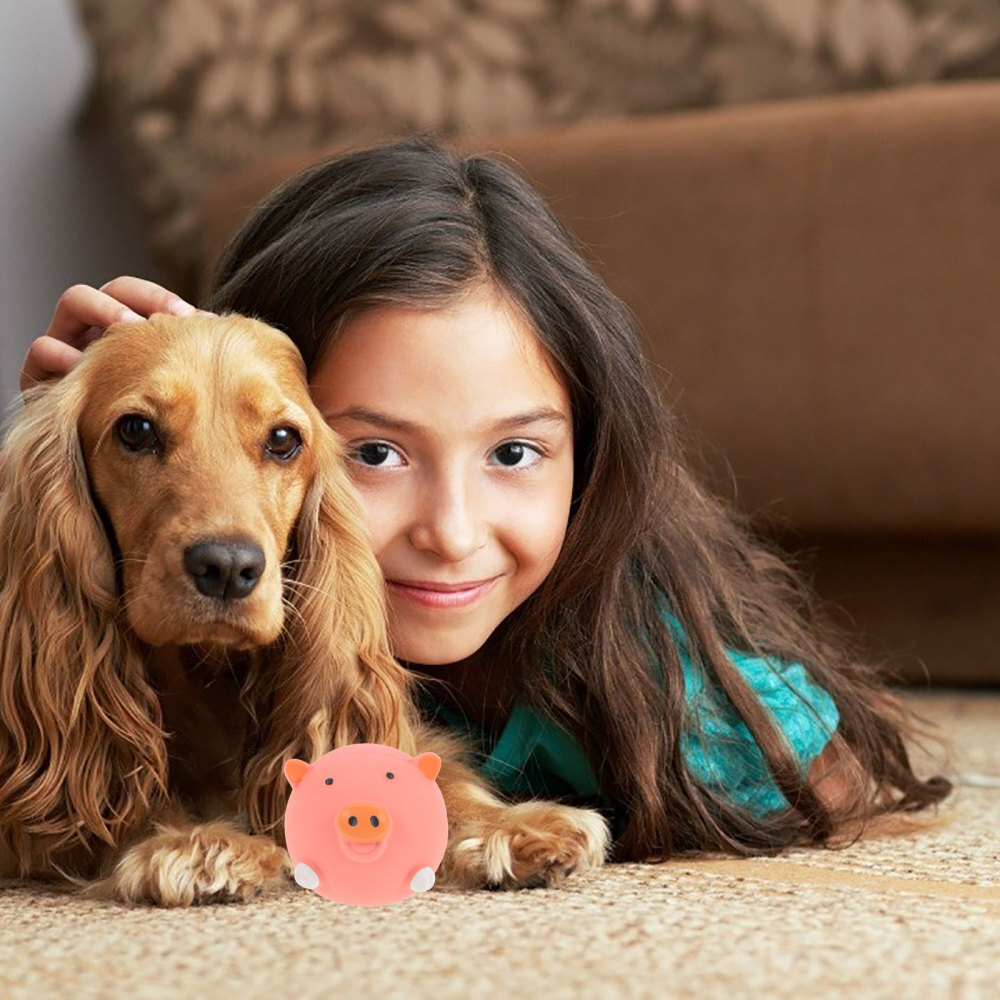 6 Pcs Dog Talking Toy Emulsion Squeakers Biteresistant Toys Training