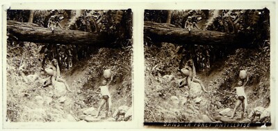 Französische Antillen. Nackte Kinder im Wald. Stereo auf Glas 6x13cm. Glass view