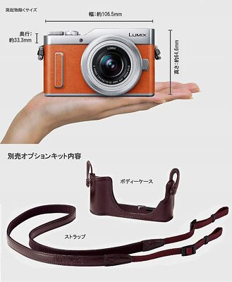 Panasonic Mireless SLR camera GF10 Double Lens Kit Standard Zoom