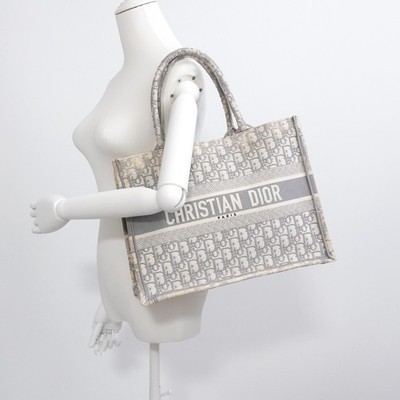 CHRISTIAN DIOR Book Tote M1296ZTDT_M201 Bag Gray Italy 50-MA-1129 Auth #51995A