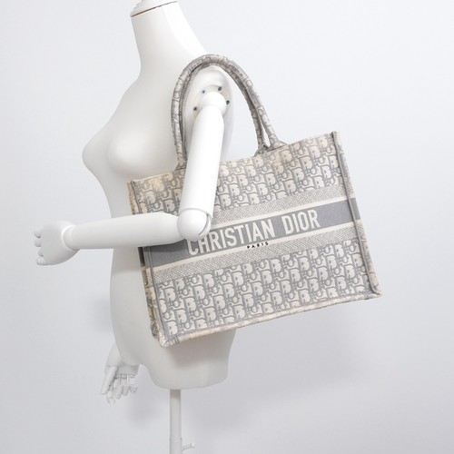 CHRISTIAN DIOR Book Tote M1296ZTDT_M201 Bag Gray Italy 50-MA-1129 Auth #51995A