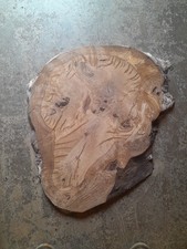 1 1/2 Inch Thick Oak Burl Live Edge Slab