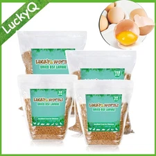 5-44LB Dried Black Soldier Fly Larvae Mealworms for Chicken Birds Treats Premium